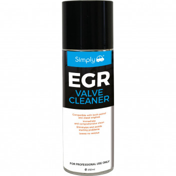 250ML EGR CLEANER