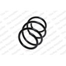 Image for Coil Spring