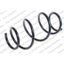 Image for Coil Spring