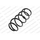 Image for Coil Spring