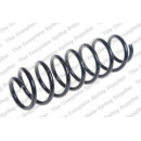 Image for Coil Spring