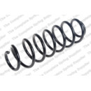 Image for Coil Spring