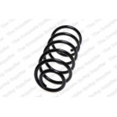 Image for Coil Spring