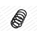Image for Coil Spring