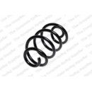 Image for Coil Spring
