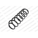 Image for Coil Spring