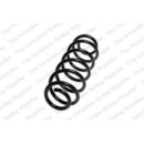 Image for Coil Spring