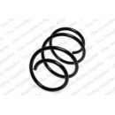Image for Coil Spring