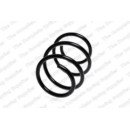 Image for Coil Spring