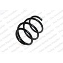 Image for Coil Spring