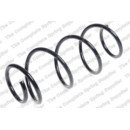 Image for Coil Spring