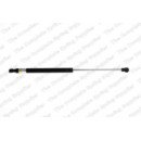 Image for Gas Spring