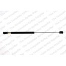 Image for Gas Spring