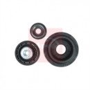 Image for Strut Mount Kit