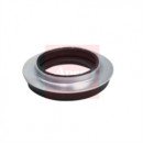 Image for Strut Mount Kit