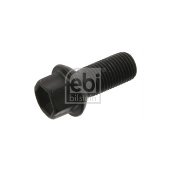 Image for Wheel Bolt/Nut