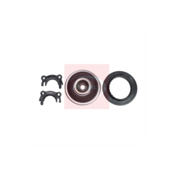 Image for Strut Mount Kit