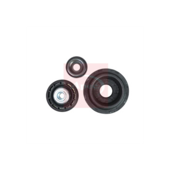 Image for Strut Mount Kit