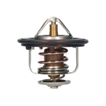 Image for Thermostat
