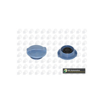 Image for Radiator Cap