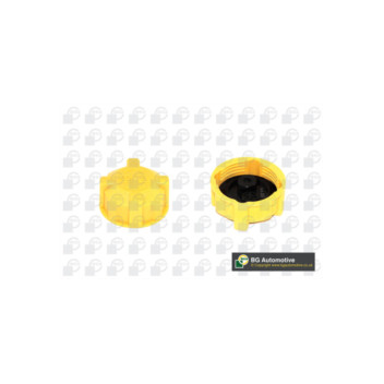 Image for Radiator Cap