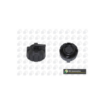 Image for Radiator Cap