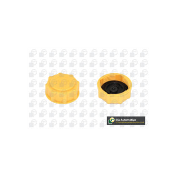 Image for Radiator Cap