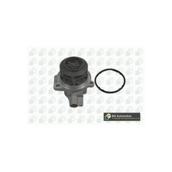 Image for Water Pump
