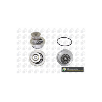 Image for Water Pump