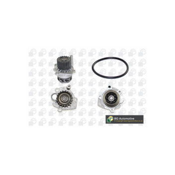 Image for Water Pump