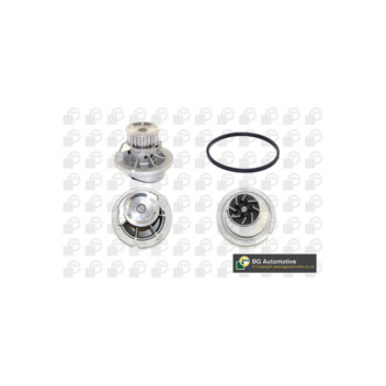 Image for Water Pump