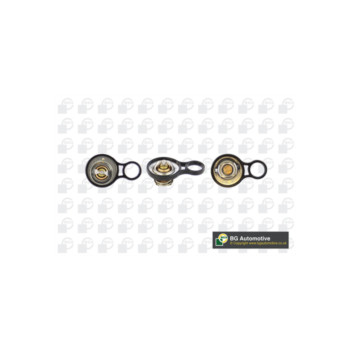 Image for Thermostat