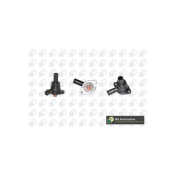 Image for Thermostat