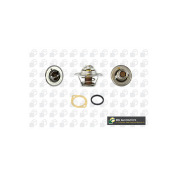 Image for Thermostat