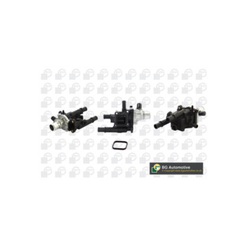 Image for Thermostat
