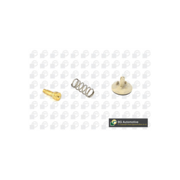 Image for Thermostat