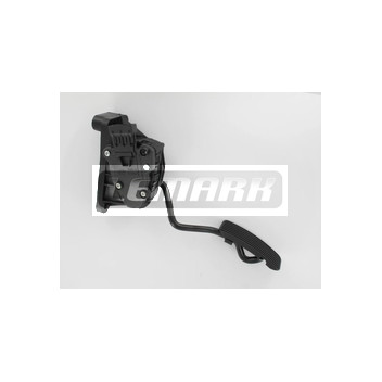 Image for Accelerator Sensor