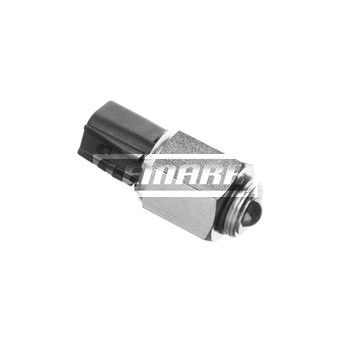 Image for Reverse Light Switch