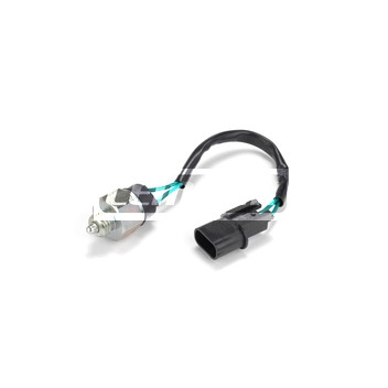 Image for Reverse Light Switch