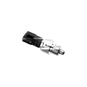 Image for Reverse Light Switch