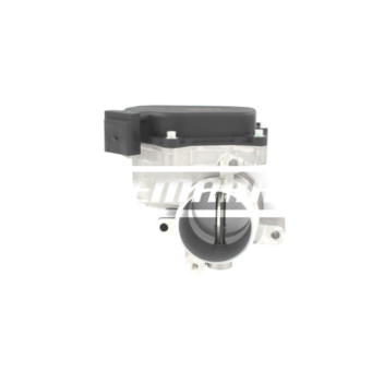 Image for Throttle Body