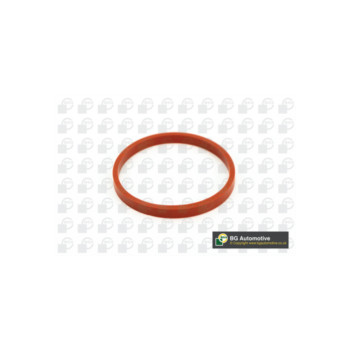 Image for Manifold Gasket