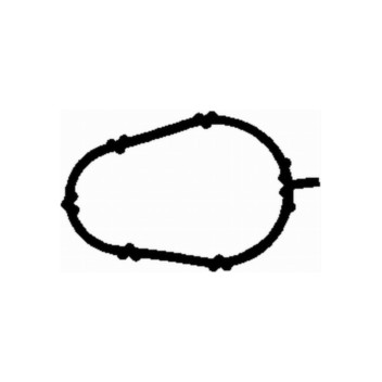 Image for Manifold Gasket