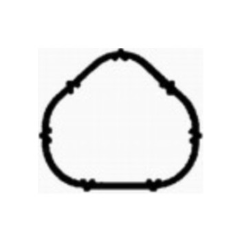 Image for Manifold Gasket
