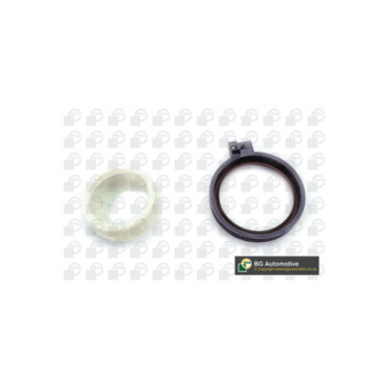 Image for Crankshaft Seal