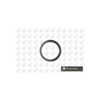 Image for Crankshaft Seal