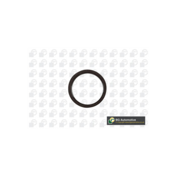Image for Crankshaft Seal