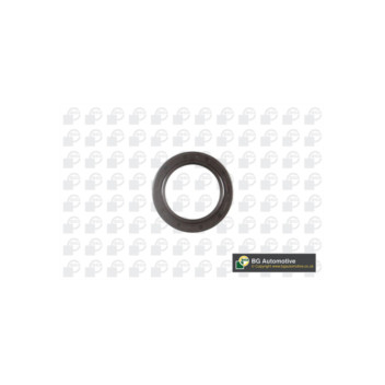 Image for Crankshaft Seal