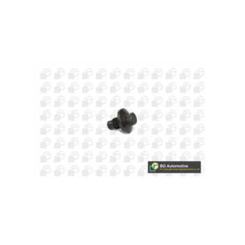Image for Sump Plug