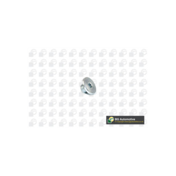 Image for Sump Plug